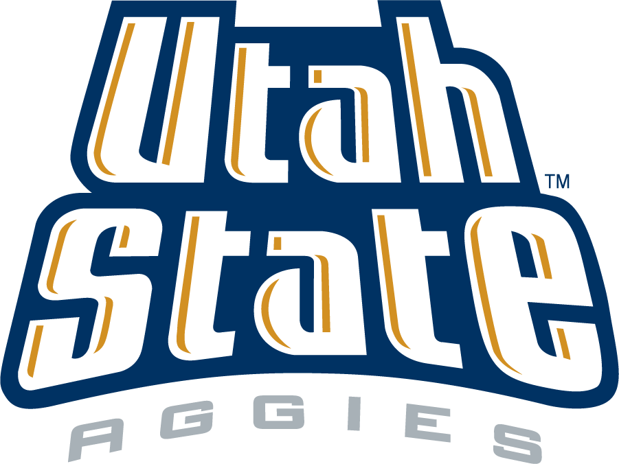 Utah State Aggies 1995-2001 Wordmark Logo v2 iron on transfers for T-shirts